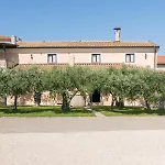 Maslina B&B