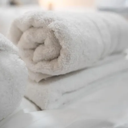 Maslina Seget (Umag)