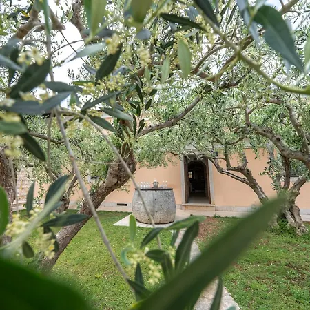 Maslina Bed & Breakfast