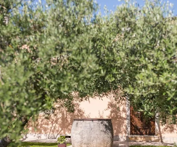 Bed & Breakfast Maslina Seget (Umag)