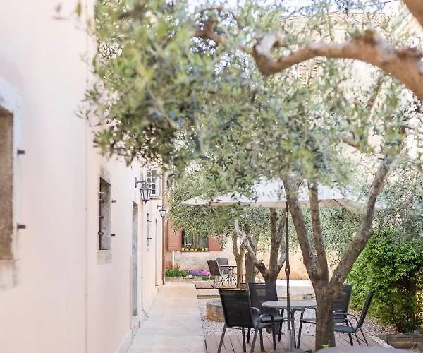 B&B Maslina