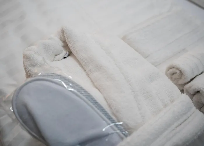 Maslina Seget (Umag)