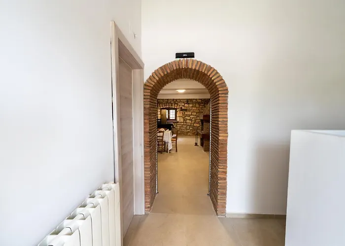 Maslina Seget (Umag)