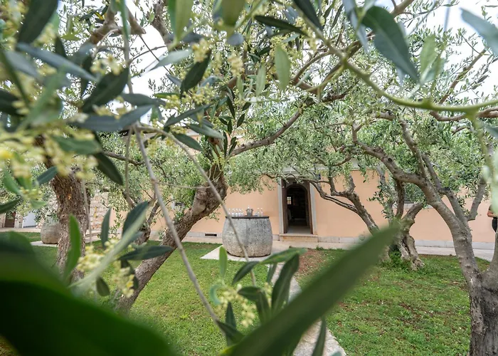 Maslina Bed & Breakfast