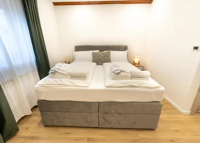 Maslina Seget (Umag)