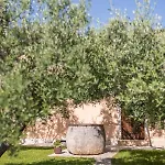 Bed & Breakfast Maslina Seget (Umag)