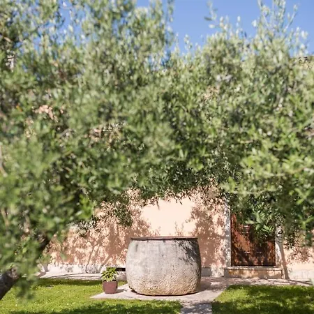 ベッド・アンド・ブレックファスト Maslina Seget (Umag)