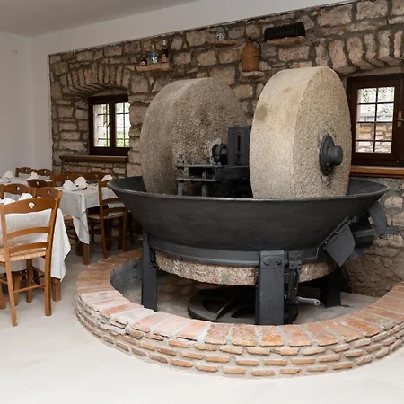 Maslina 4* Seget (Umag)