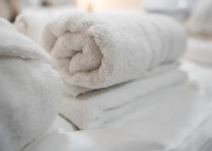 Maslina Seget (Umag)