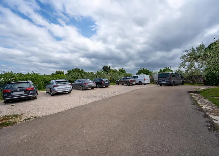 Maslina Seget (Umag)